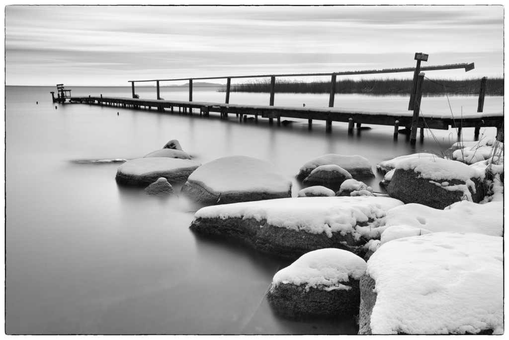 D85 2013 bw