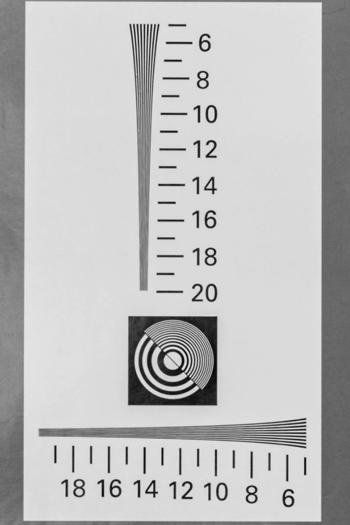 D85_2137_1.jpg