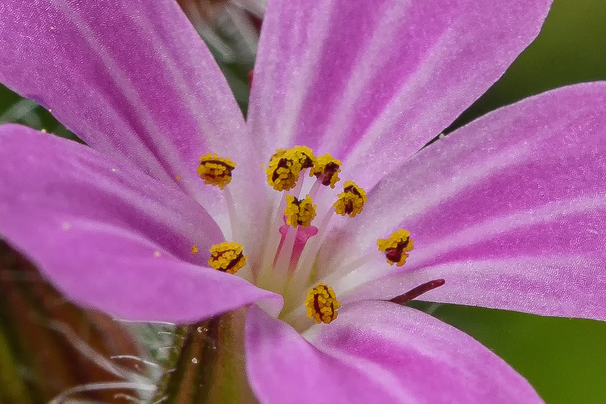 D85_2888.jpg
