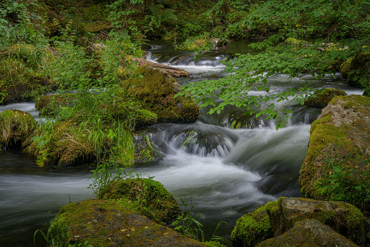 D85_4021.jpg