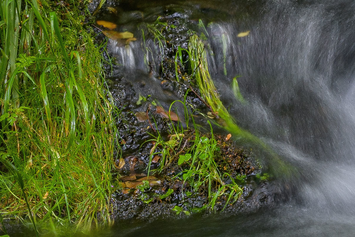 D85_4021x.jpg