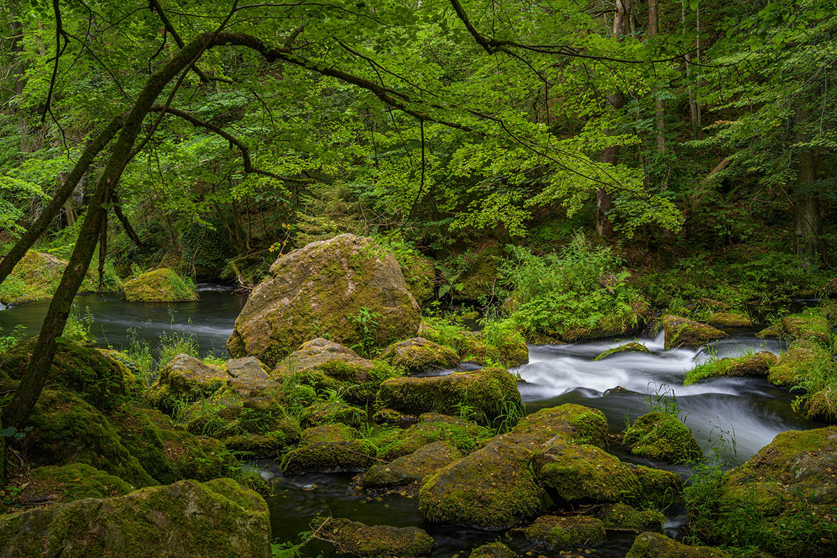D85_4026.jpg