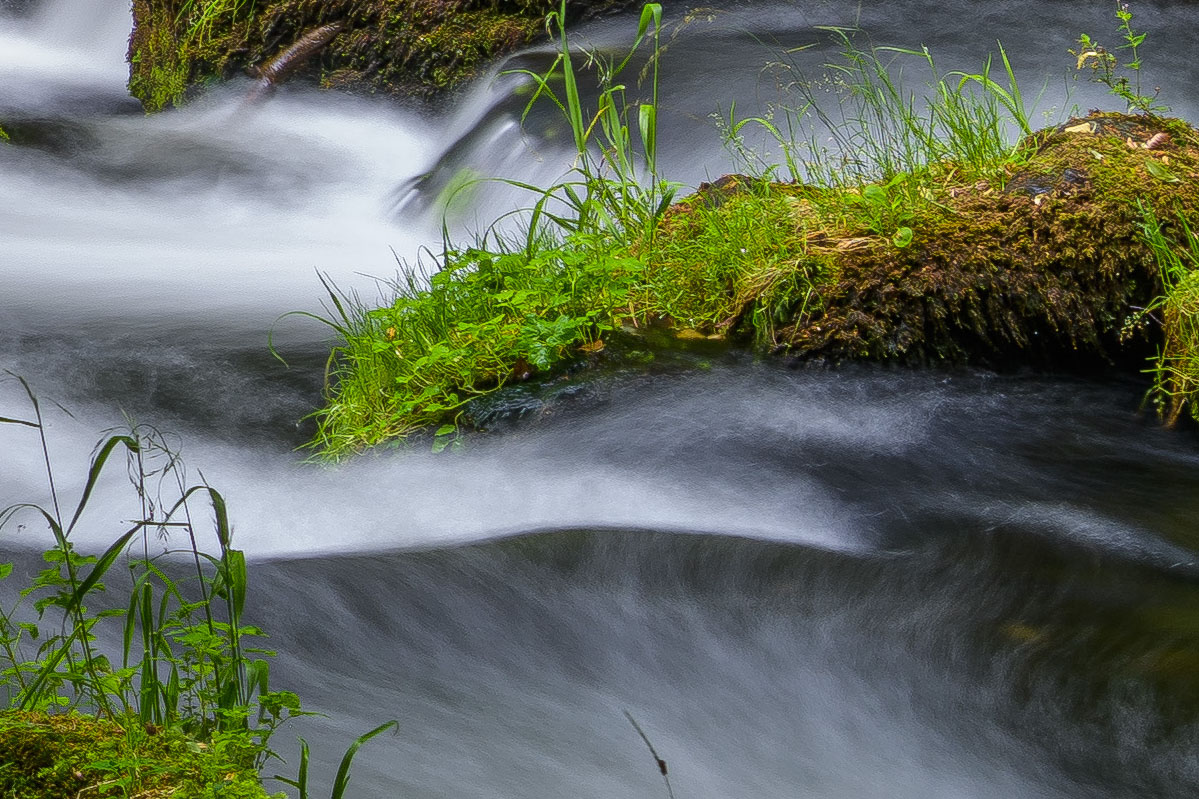 D85_4026x.jpg