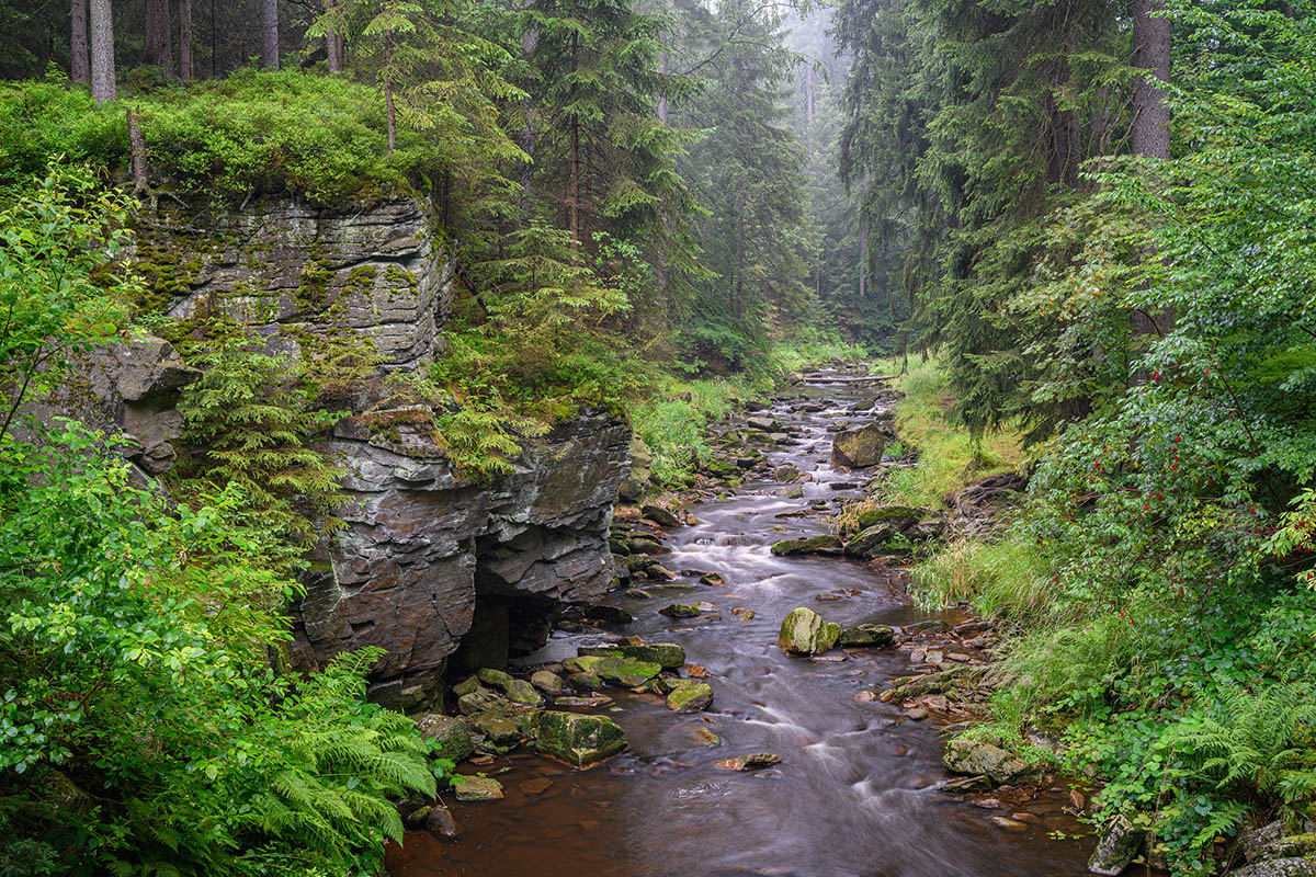 D85_4083.jpg