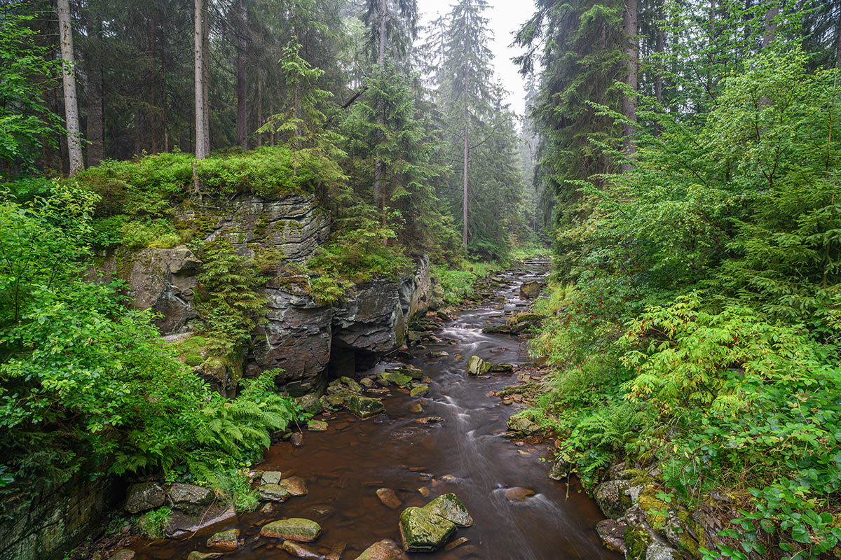 D85_4090.jpg