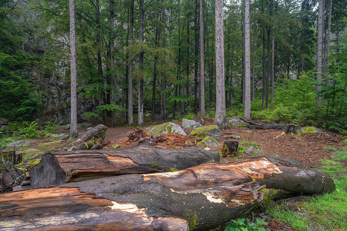 D85_4095.jpg