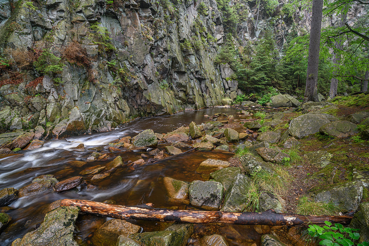 D85_4099.jpg