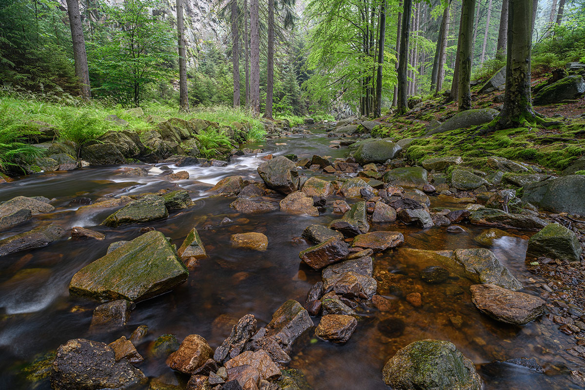 D85_4107.jpg