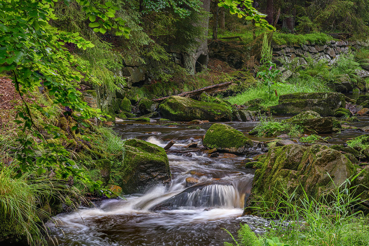 D85_4121_27.jpg