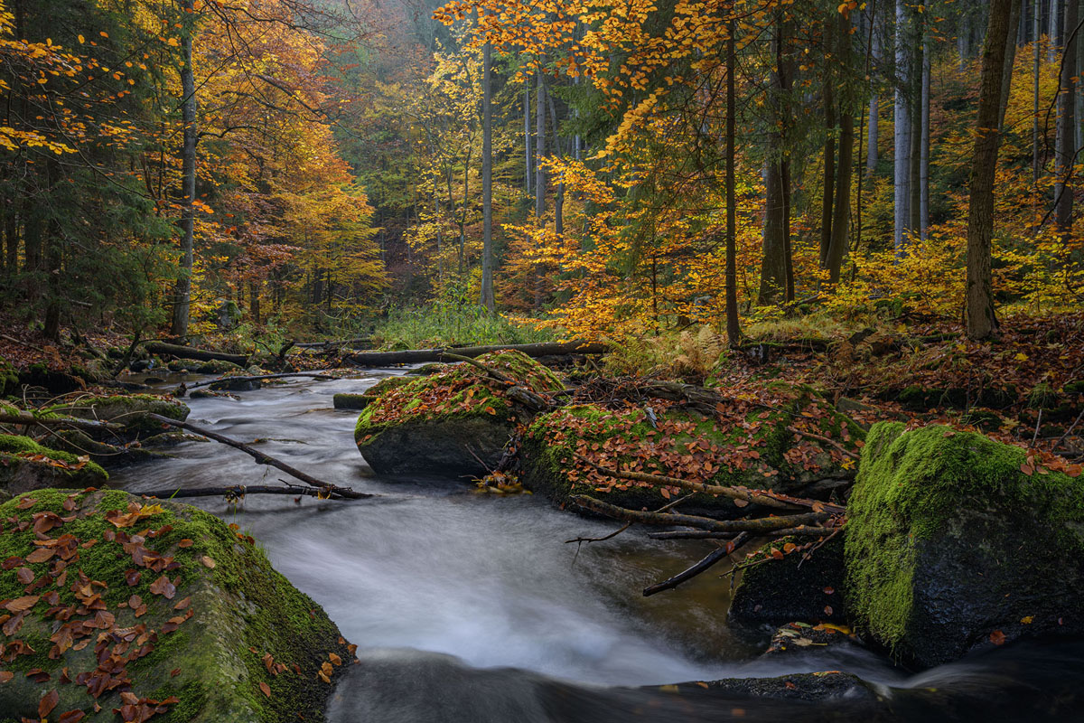 D85_4513_1.jpg