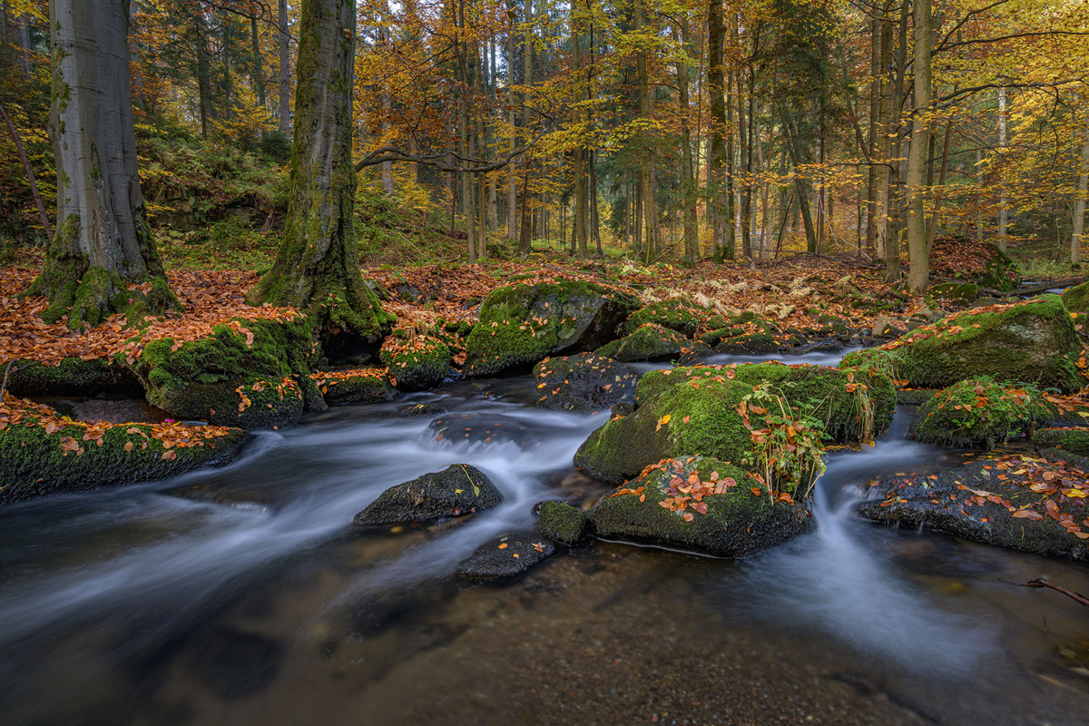 D85_4516.jpg