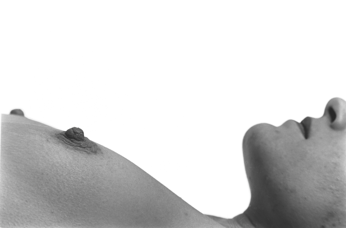 D85_5565.JPG