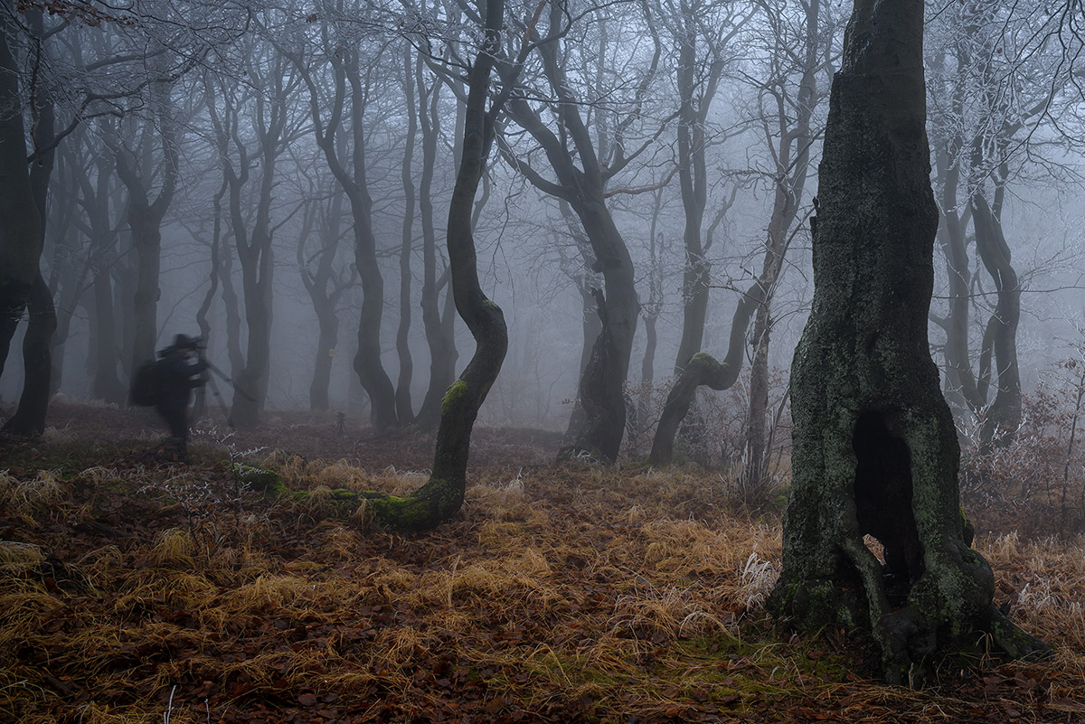 D85_5910.jpg