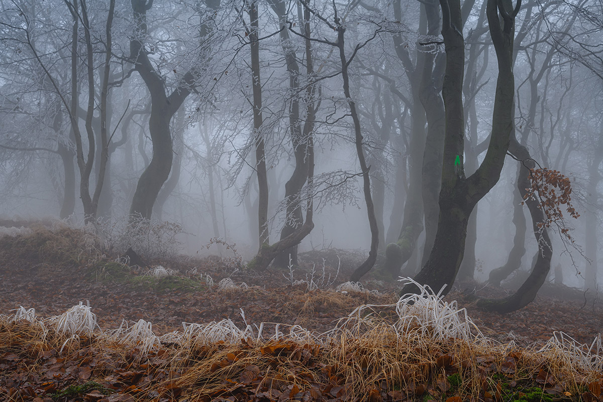 D85_5919.jpg