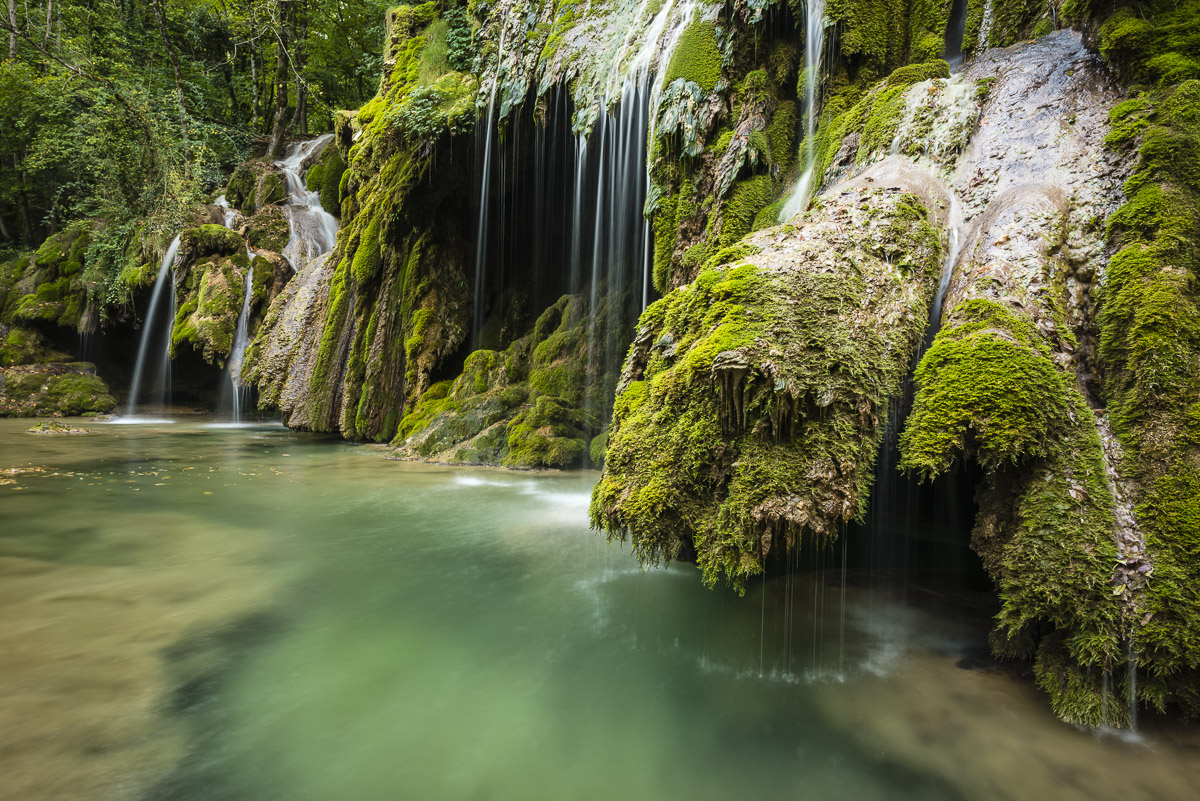 D8E4453