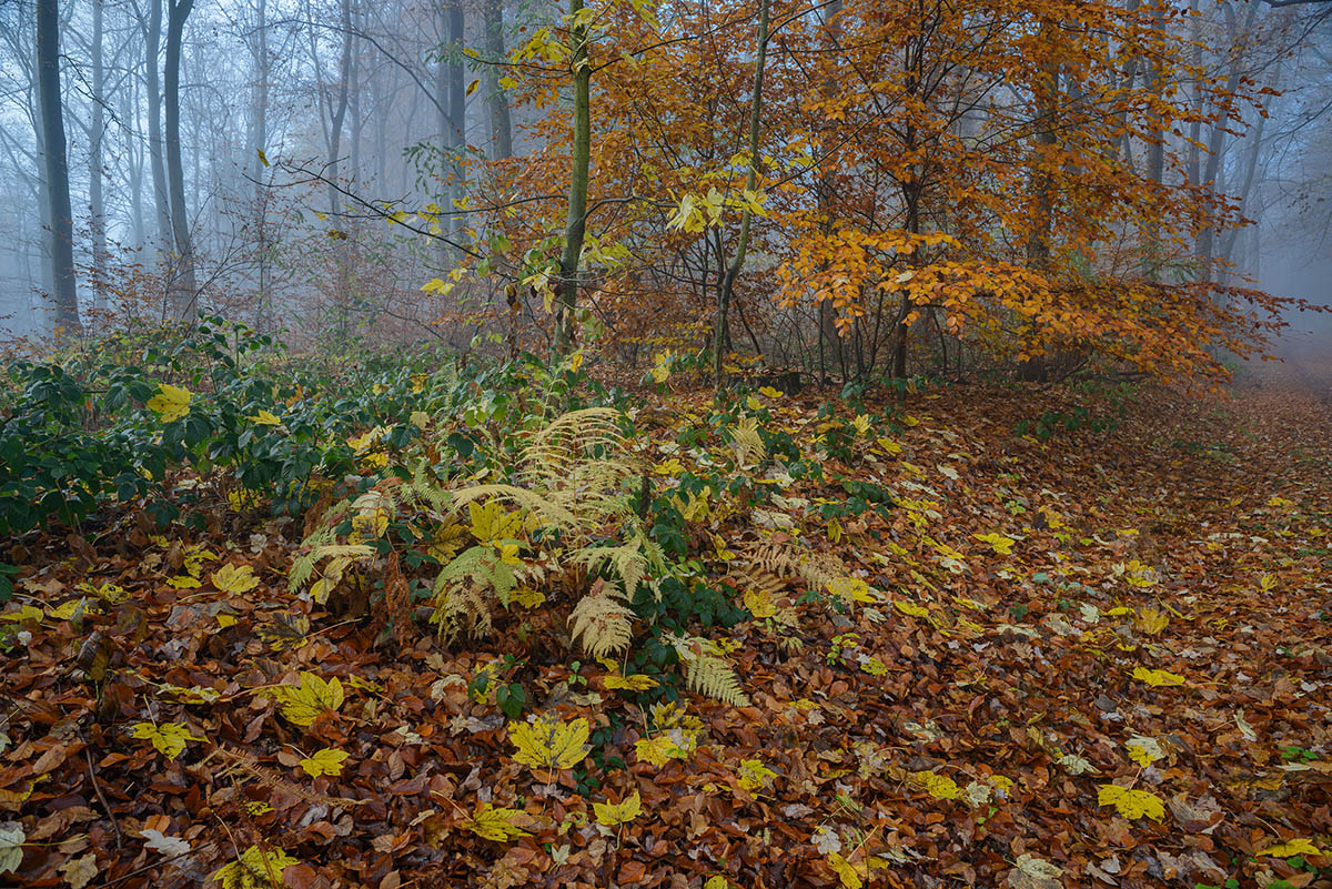 D8E_0098.jpg