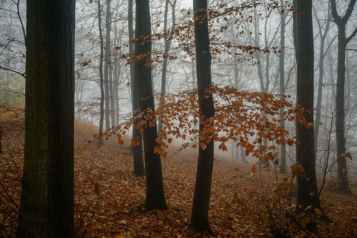 D8E_0104.jpg