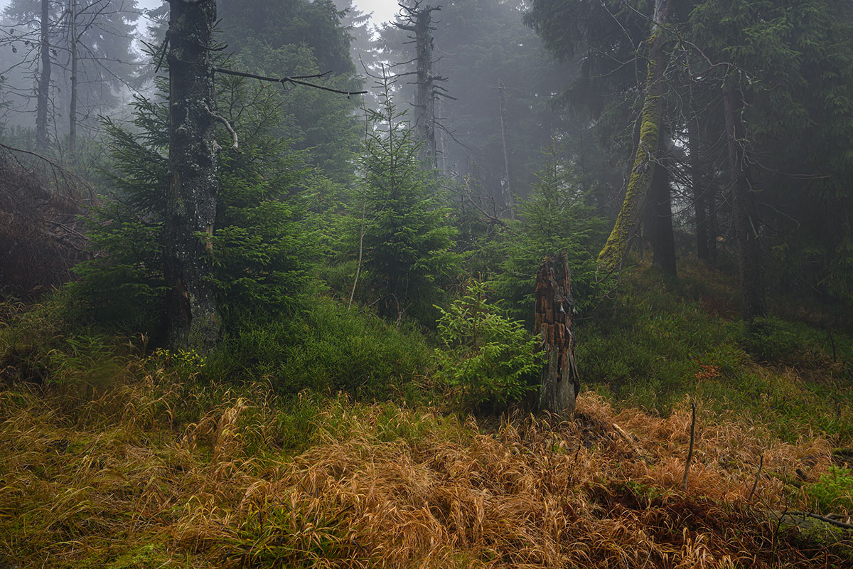 D8E_0168.jpg