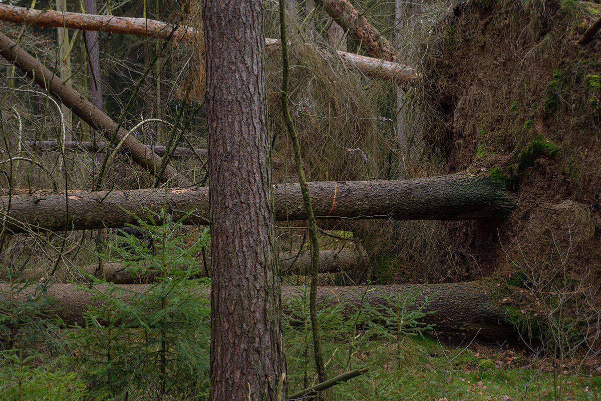 D8E_0378.jpg