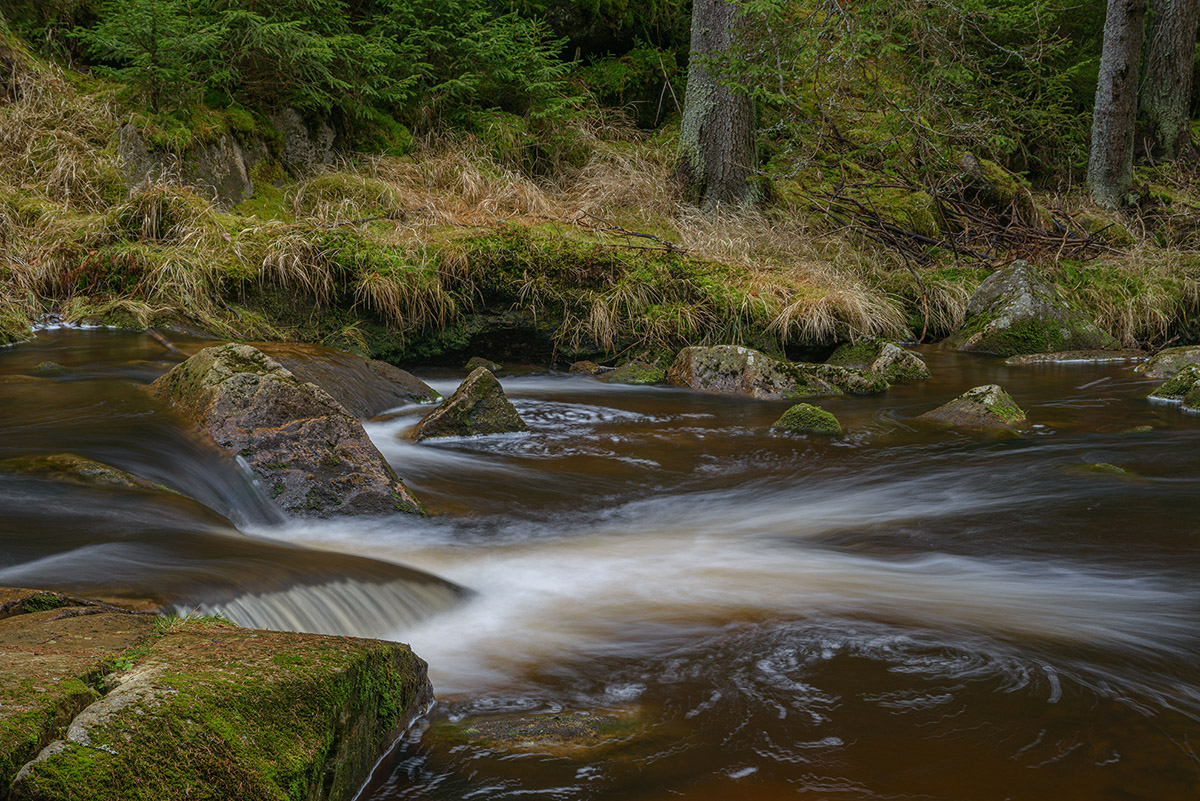 D8E_0640_1.jpg