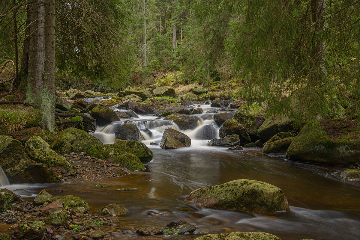 D8E_0644.jpg