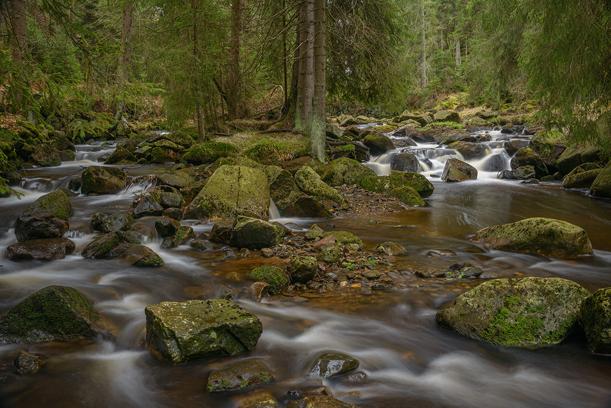 D8E_0646.jpg