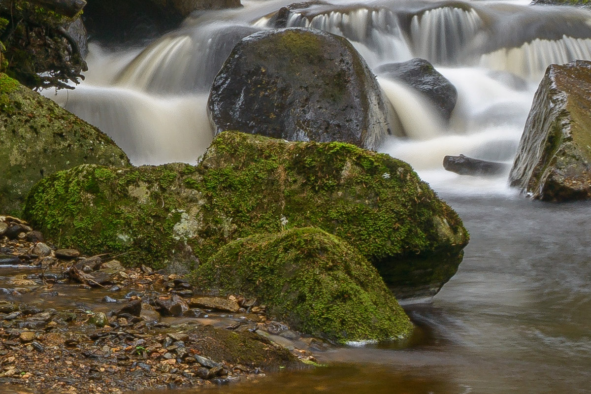 D8E_0646x.jpg