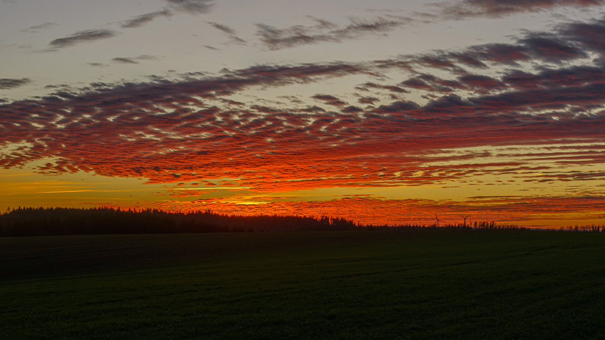 D8E_0714.jpg