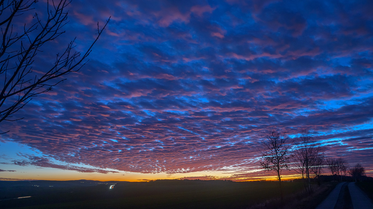 D8E_0749.jpg