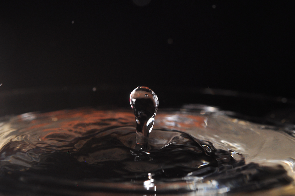 D90, Micro 60mm/2.8