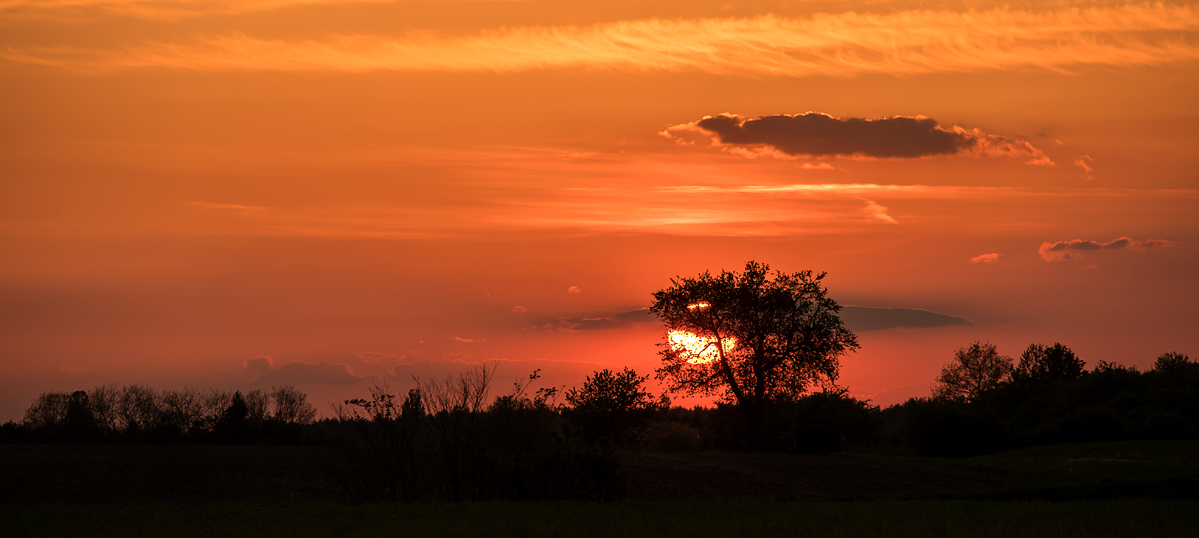 d_DSC_2171.jpg