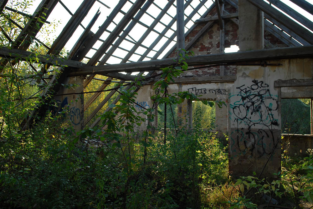 dachgarten klein