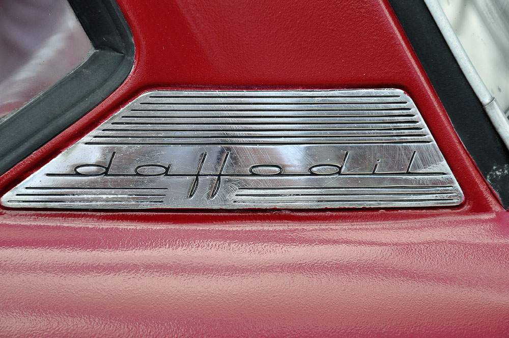 Daffodil 0225