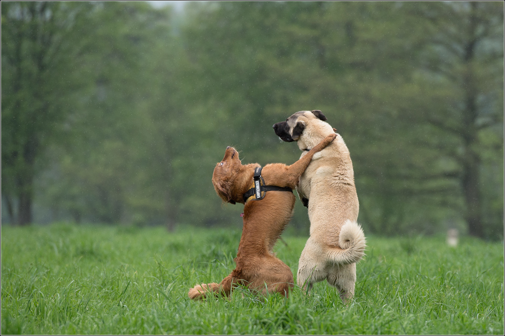 dancing