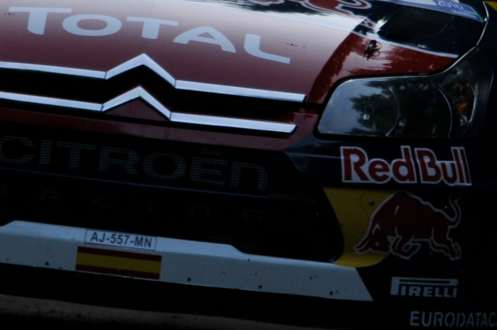 Dani Sordo 100% crop