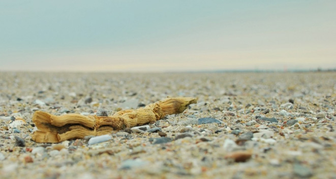 danis strand