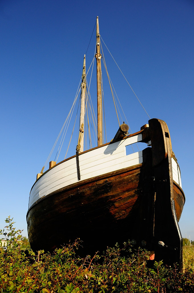 Darß 2013MOL 4096 14905