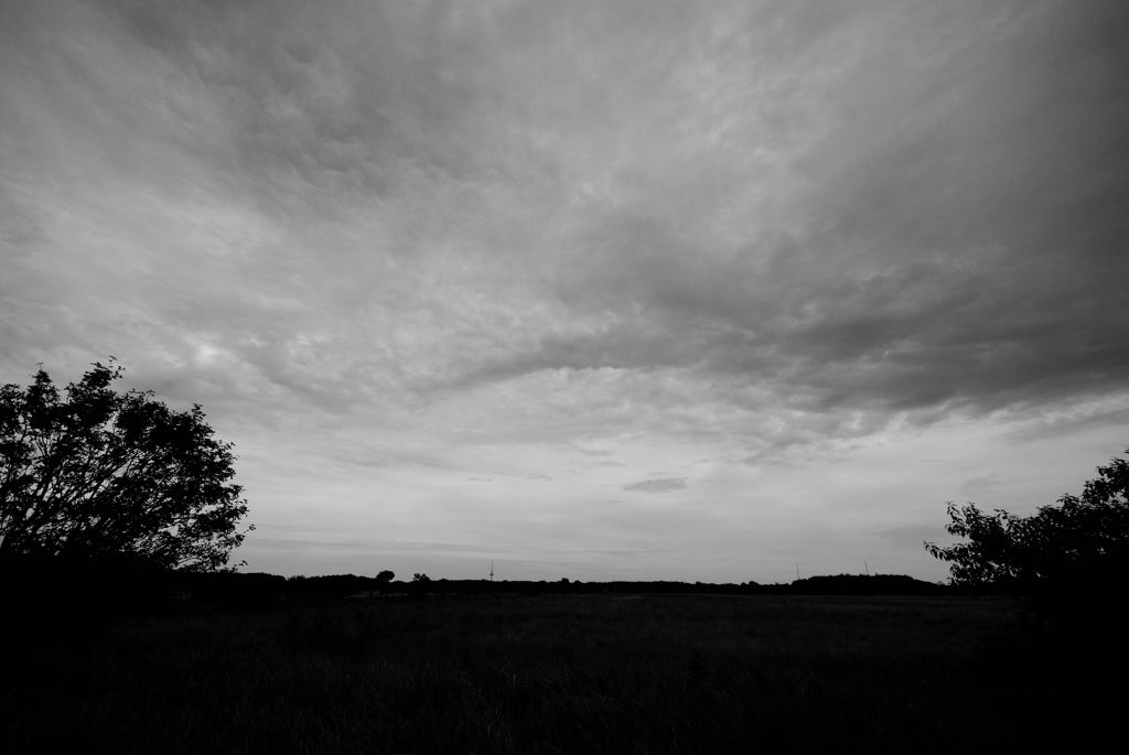 Dark Skies 1