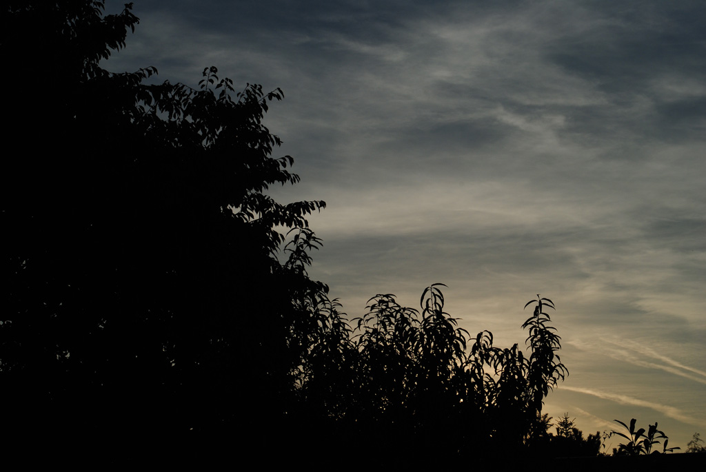 Dark Skies
