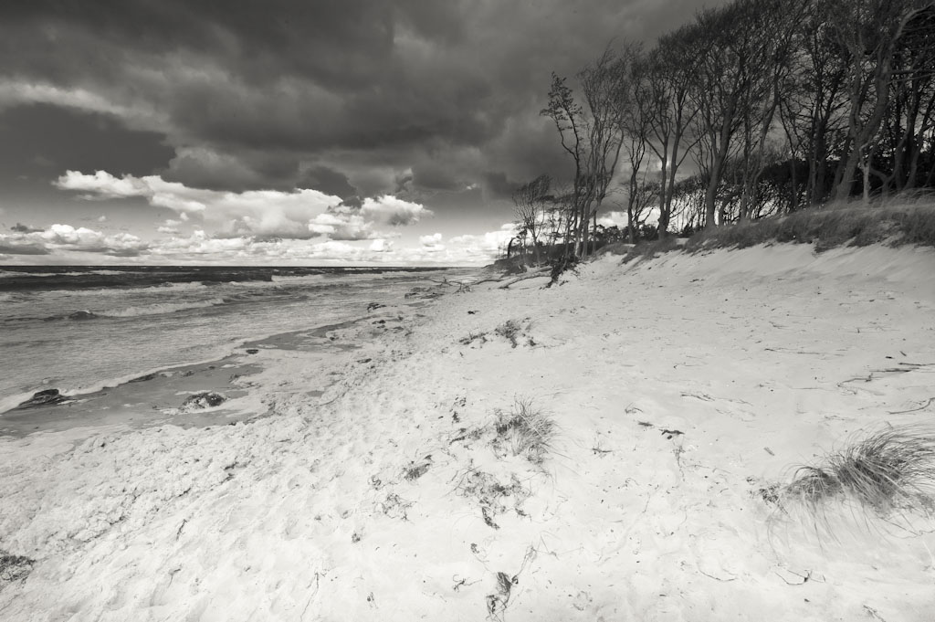 Darss Weststrand
