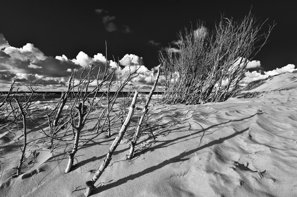 Darss Weststrand