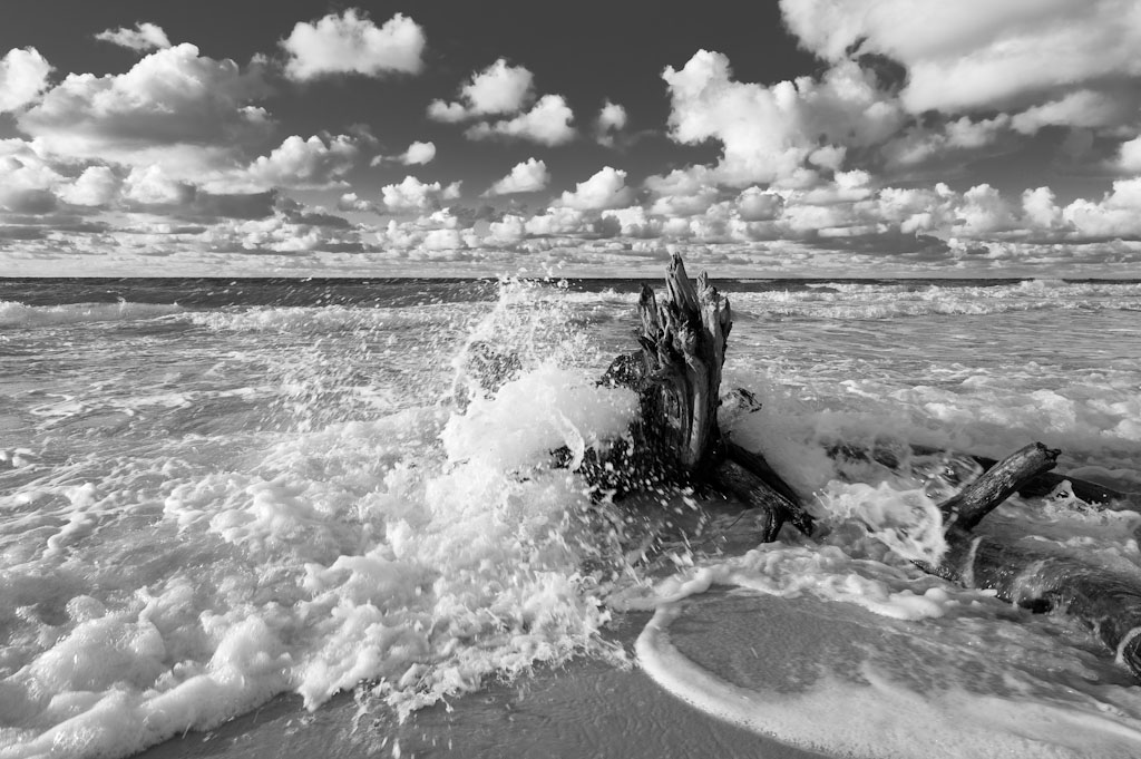 Darss Weststrand