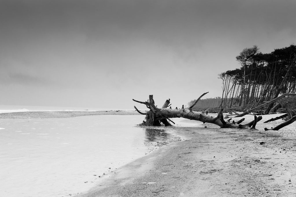 Darss Weststrand