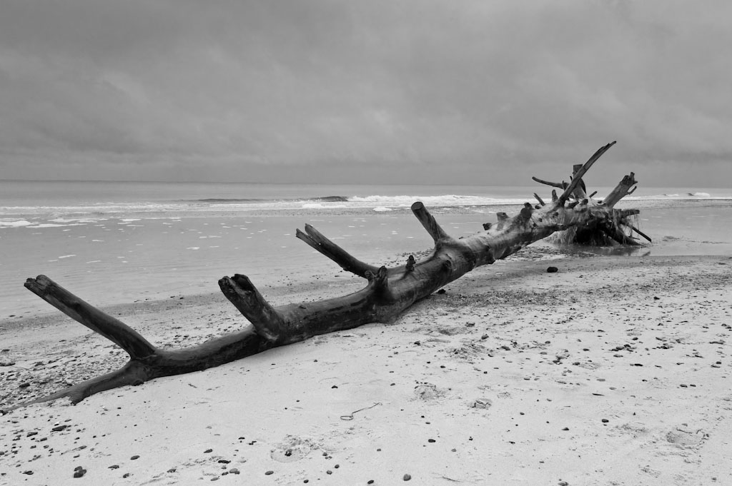 Darss Weststrand