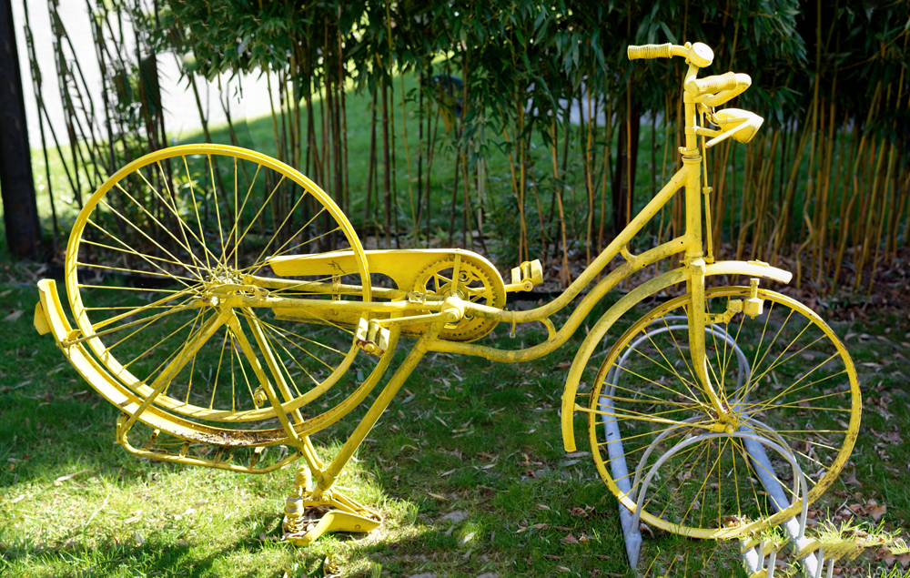 Das gelbe Spezialfahrrad.jpg