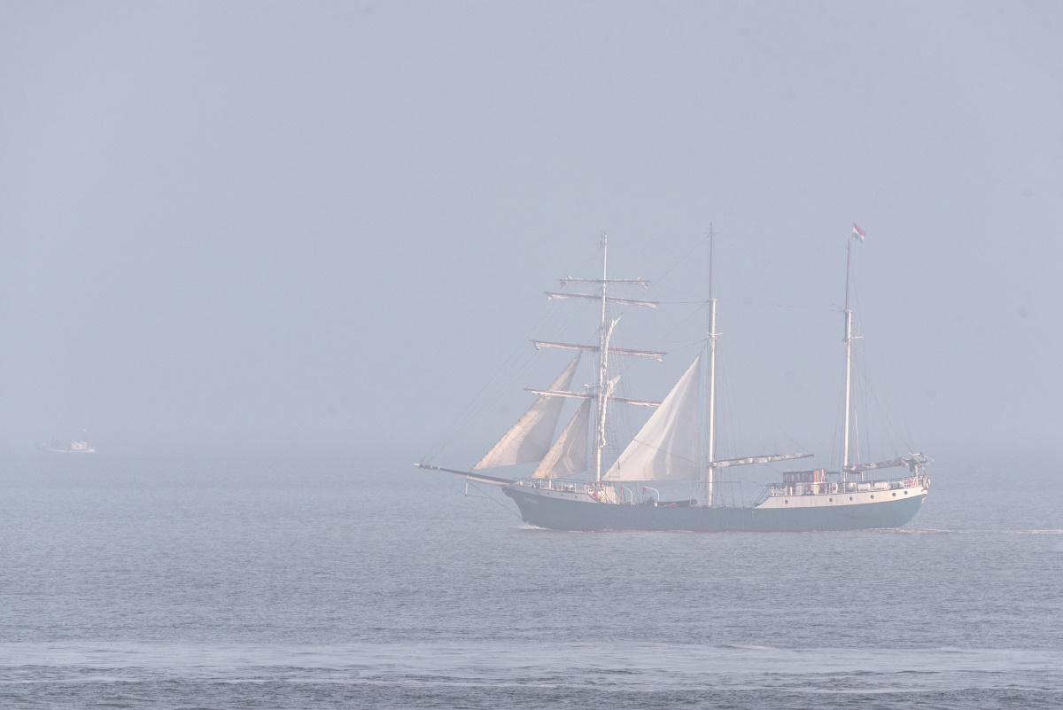 Das Segelschiff ANTIGUA gleitet im Frühnebel vorbei an Cuxhaven der Nordsee entgegen.