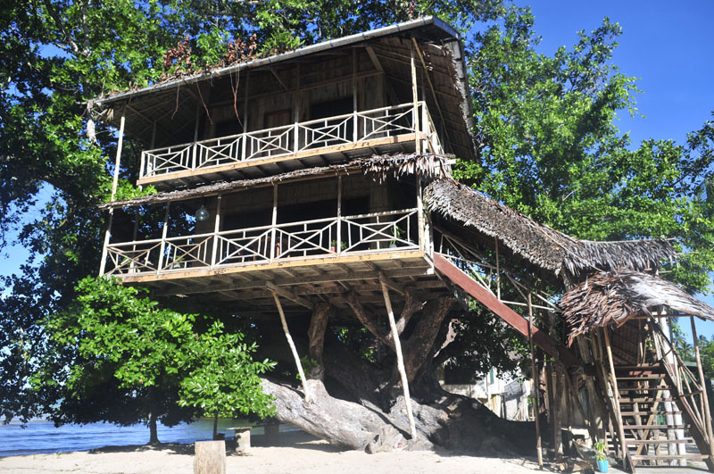 Das Treehouse von New Ireland