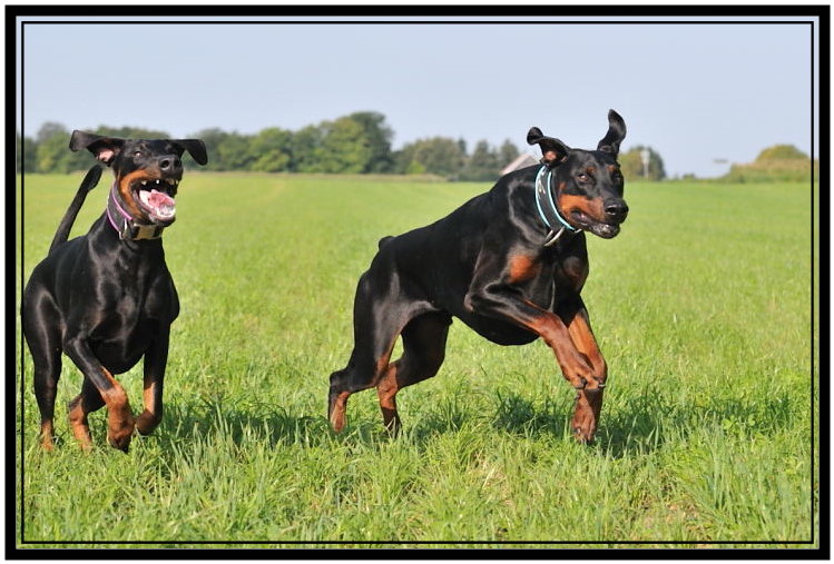 Das ware Gesicht :)