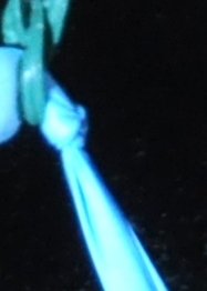 DAS3