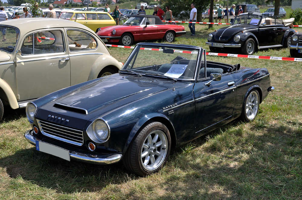Datsun Sports1600 [DSC_5266]
